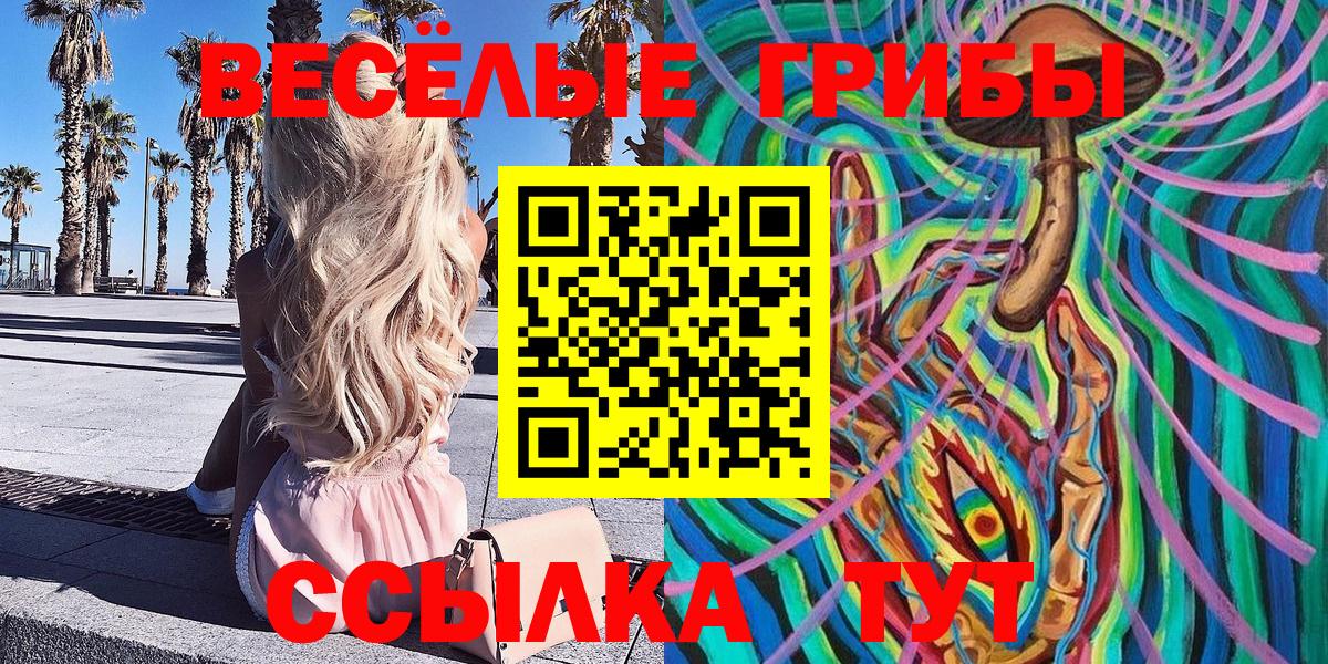 Киселёвск  Псилоцибиновые грибы Magic Shrooms  Вход с VPN  Галлюциногенные грибы ЛСД 